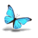 MorphOS-butterfly.gif