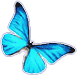 MorphOS-butterfly.png